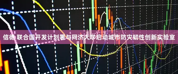 信德 联合国开发计划署与同济大学启动城市防灾韧性创新实验室