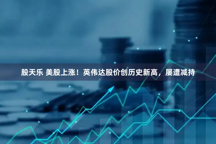 股天乐 美股上涨！英伟达股价创历史新高，屡遭减持