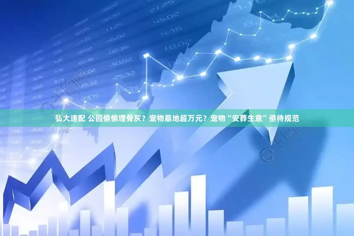 弘大速配 公园偷偷埋骨灰？宠物墓地超万元？宠物“安葬生意”亟待规范