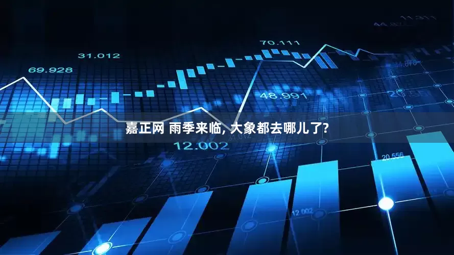 嘉正网 雨季来临, 大象都去哪儿了?