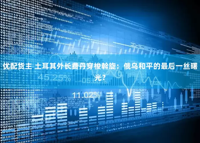 优配货主 土耳其外长费丹穿梭斡旋：俄乌和平的最后一丝曙光？